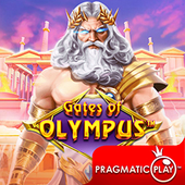 Cổng Olympus 789p 30